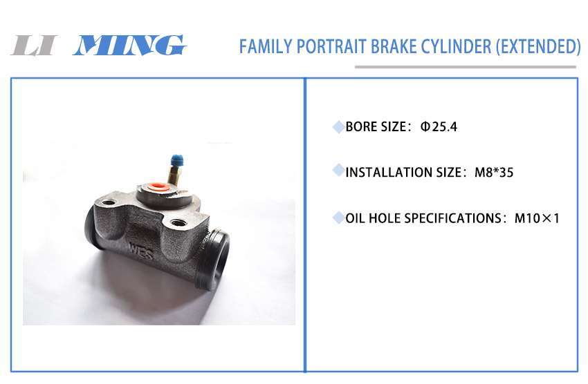 198 Family portrait brake cylinder (extended).jpg